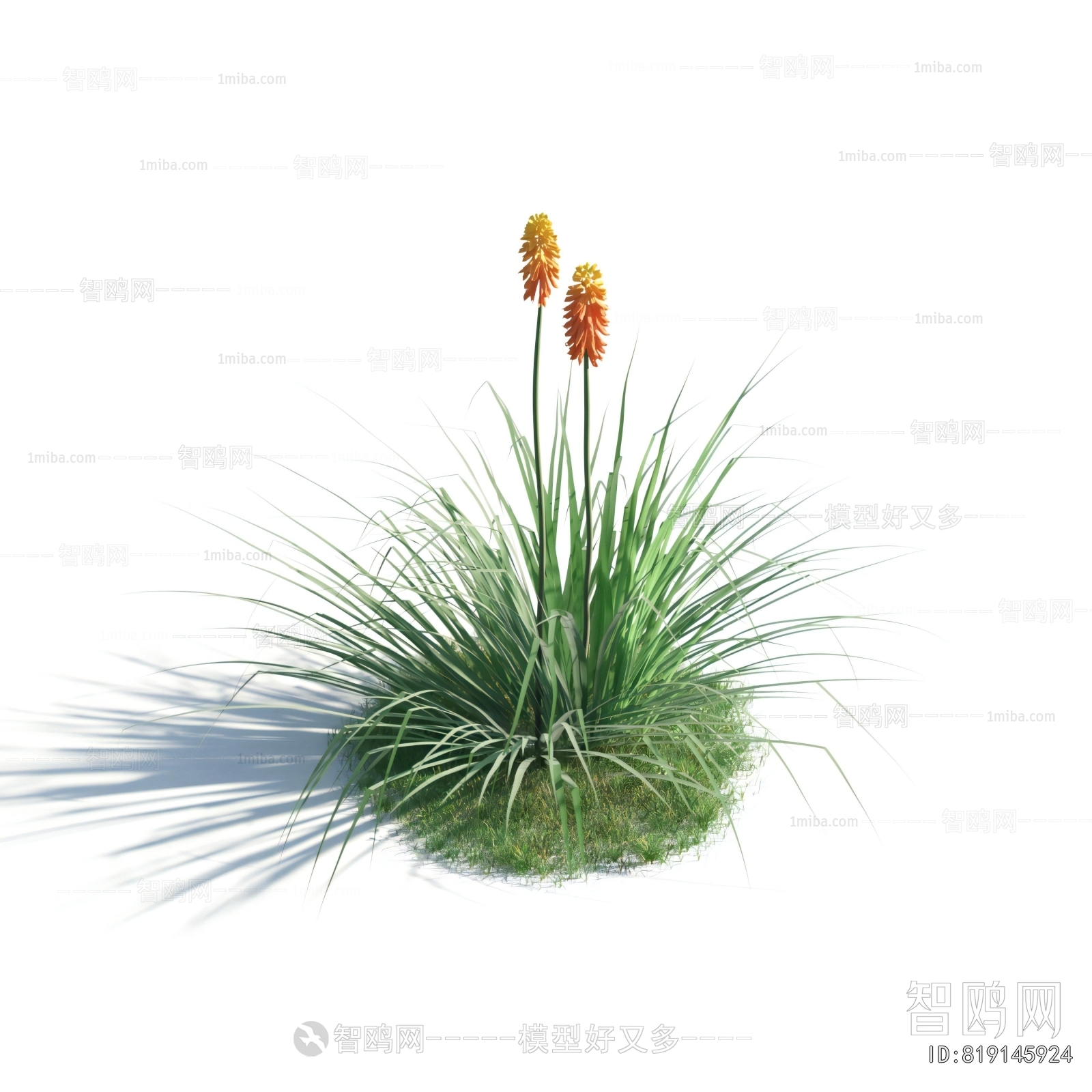Modern Flowers And Grass