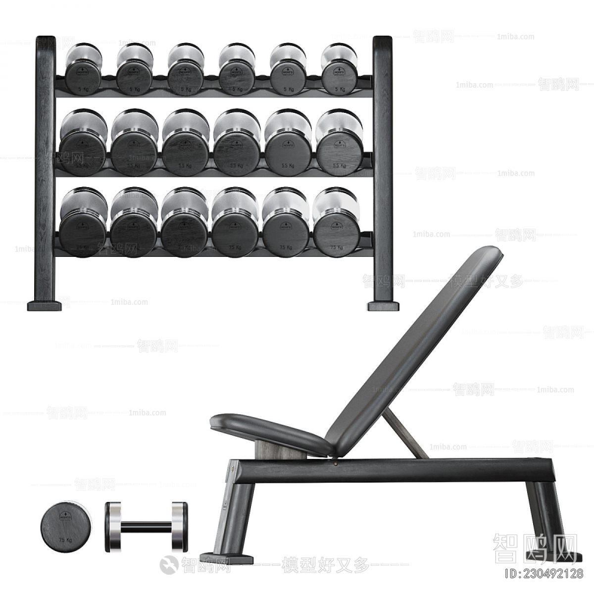 Modern Fitness Equipment