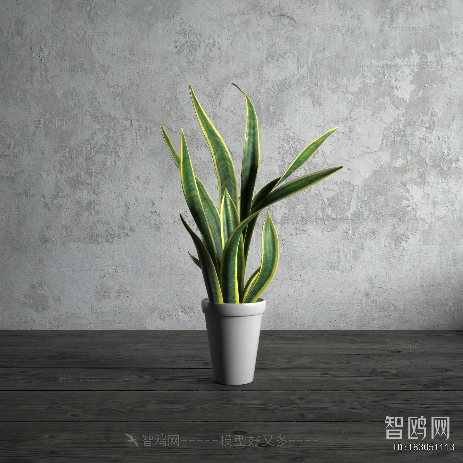 Modern Potted Green Plant