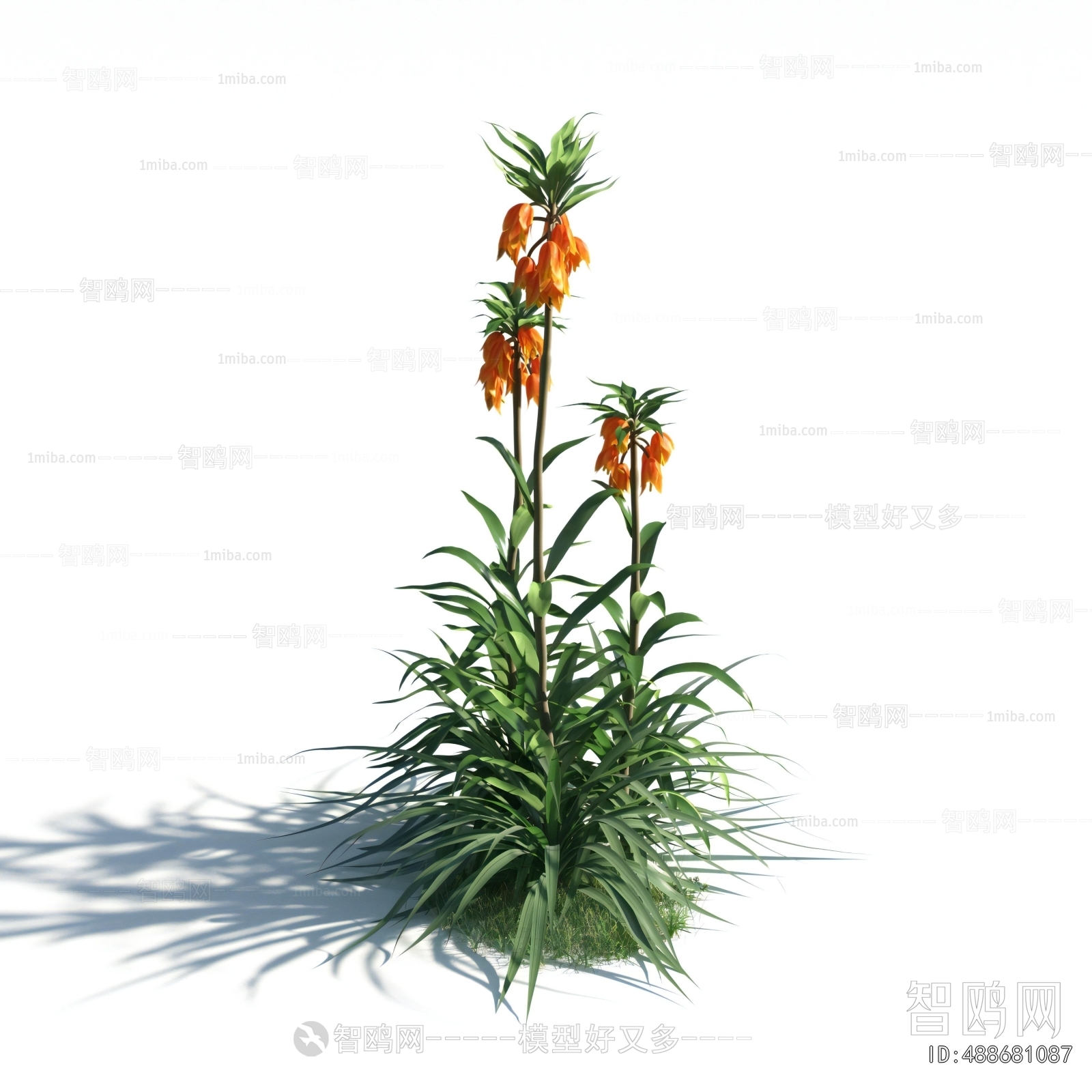 Modern Flowers And Grass