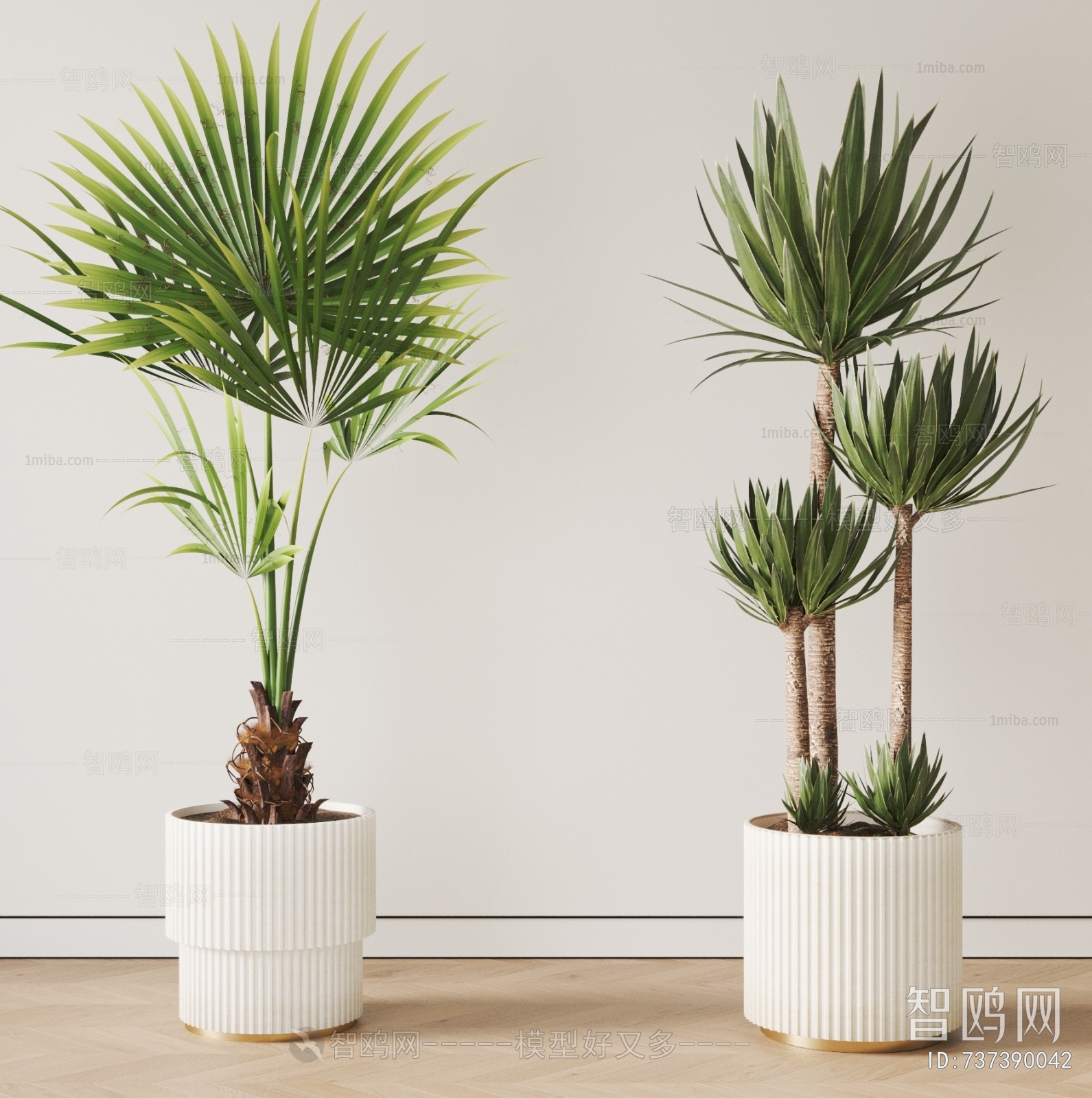 Modern Ground Green Plant Potted Plants