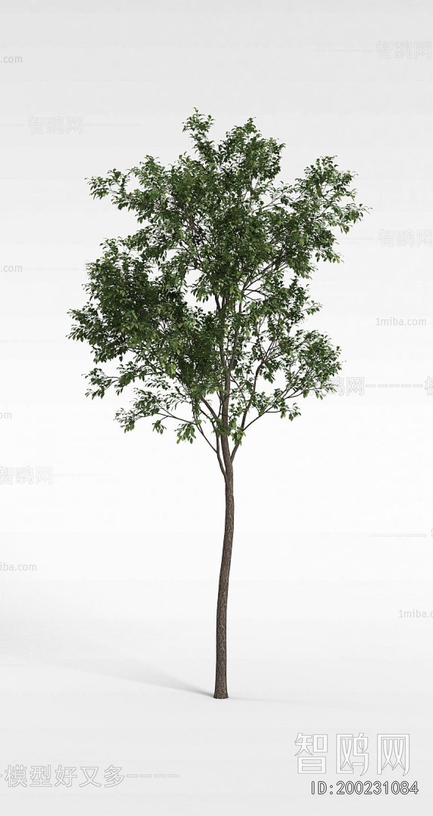 Modern Tree