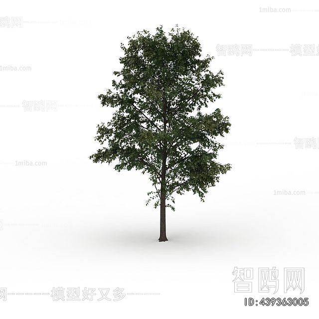 Modern Tree