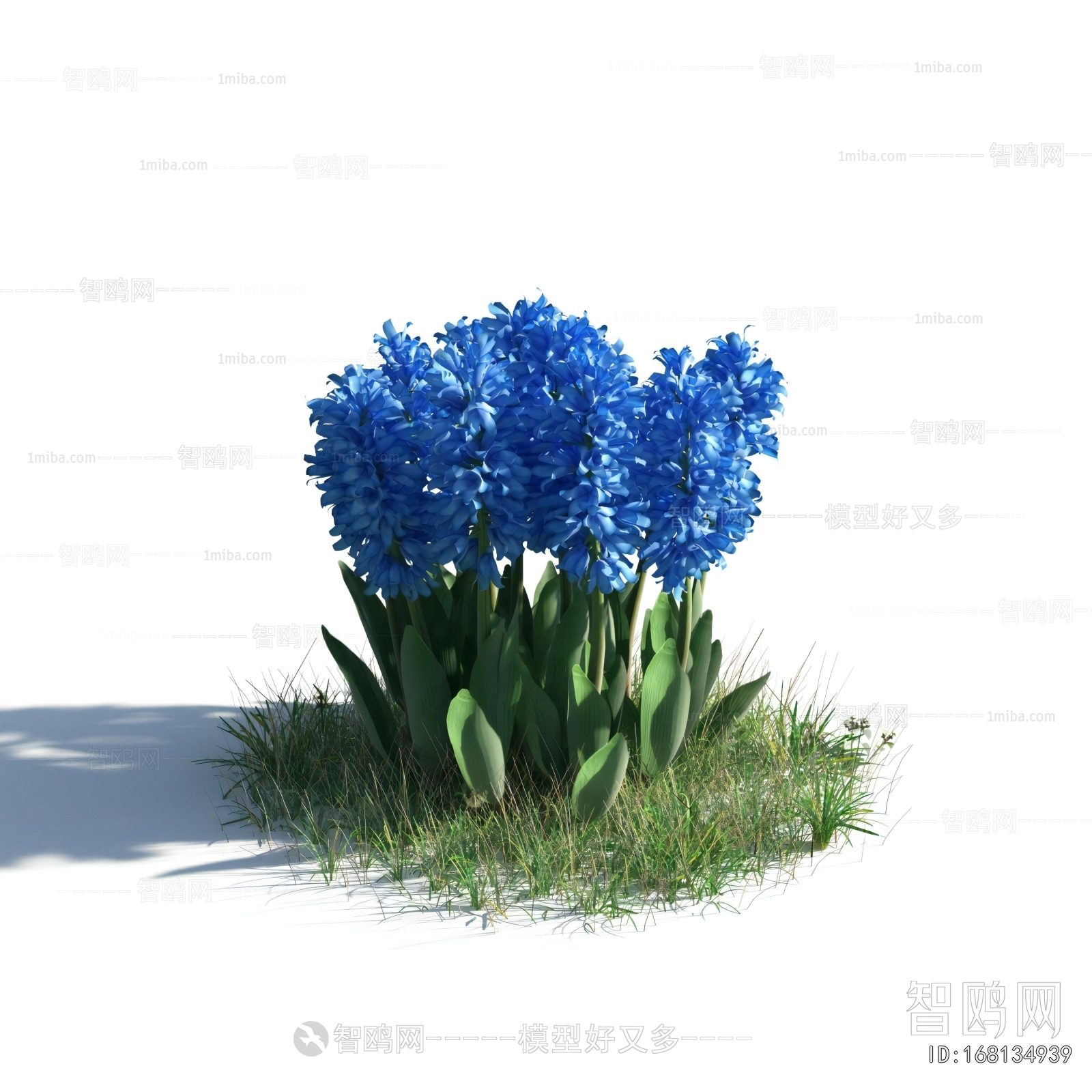 Modern Flowers And Grass