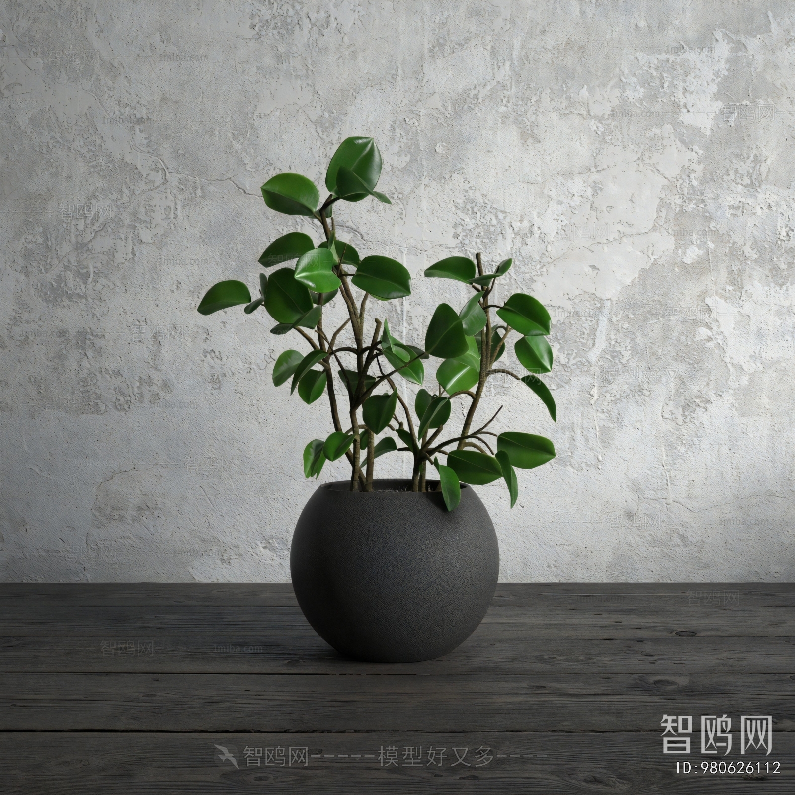 Modern Potted Green Plant