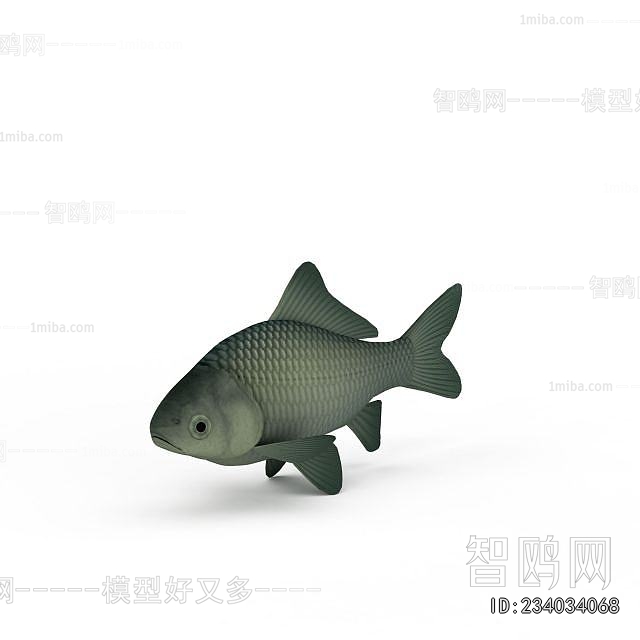 Modern Aquatic Animals