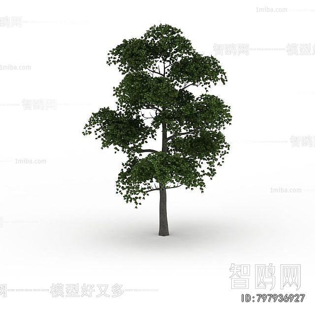 Modern Tree