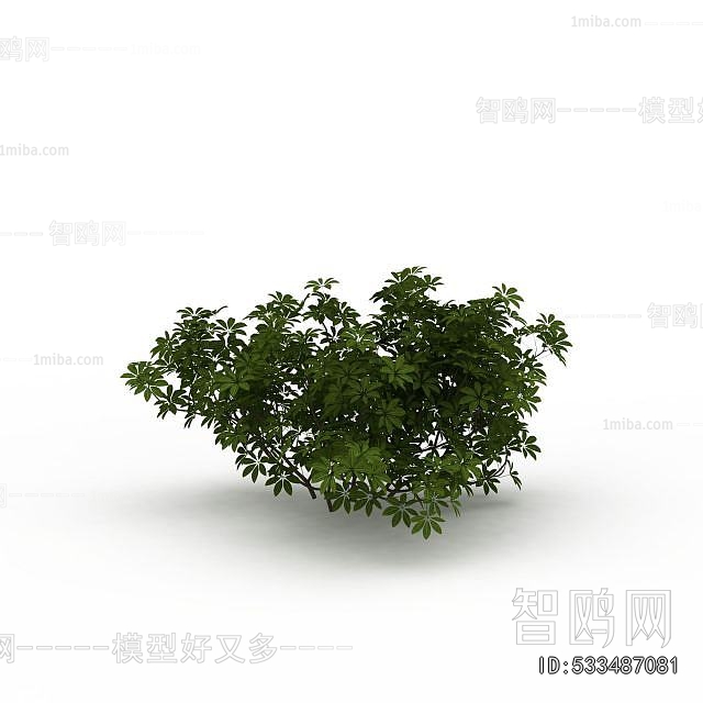 Modern Shrubbery