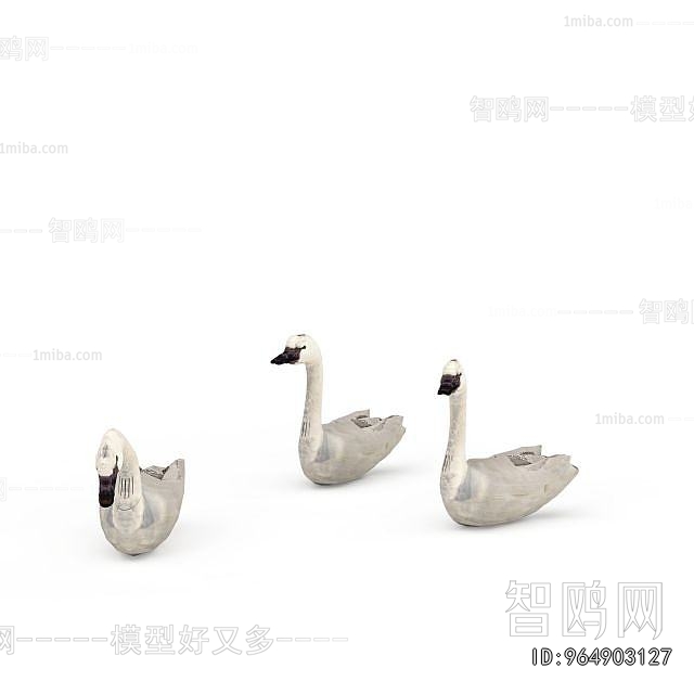 Modern Poultry Animal