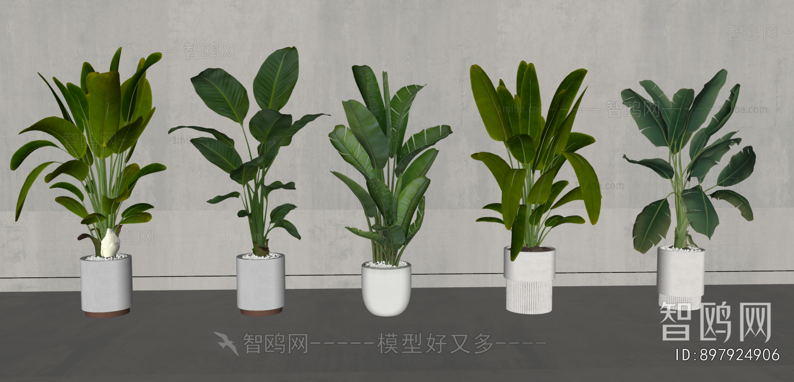 Modern Ground Green Plant Potted Plants