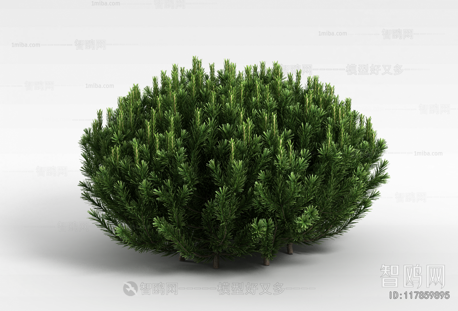 Modern Shrubbery