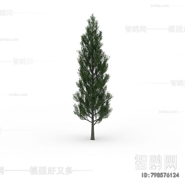 Modern Tree