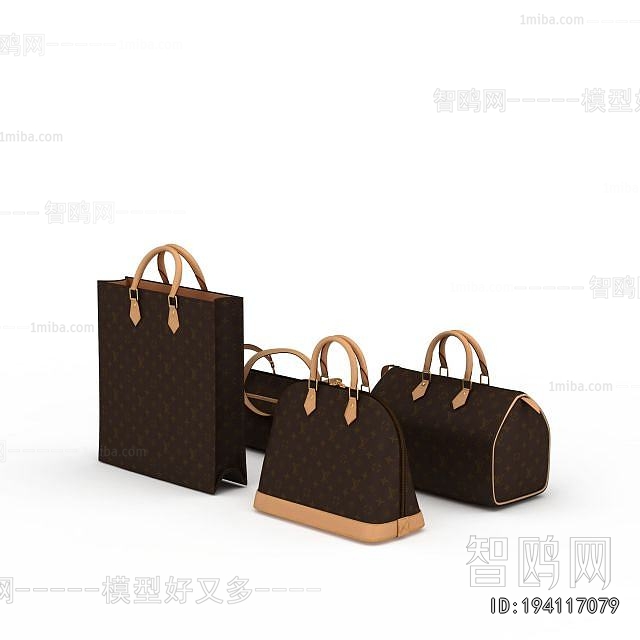 Modern Lady's Bag