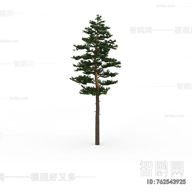 Modern Tree