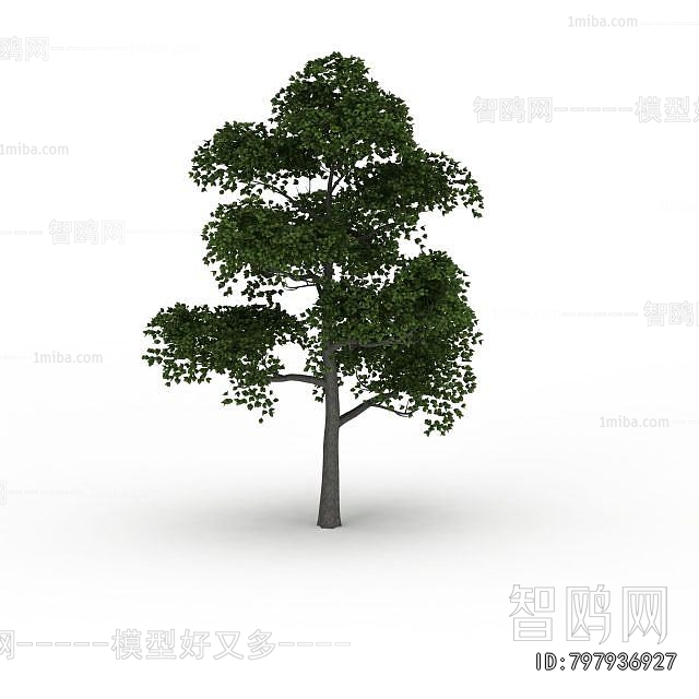 Modern Tree