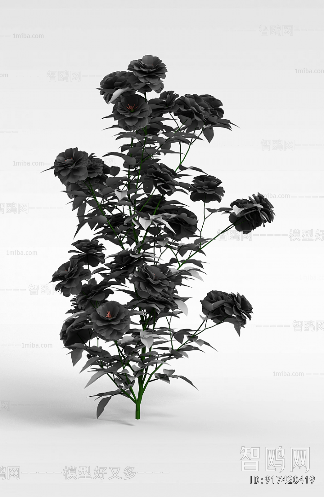 Modern Flowers And Grass