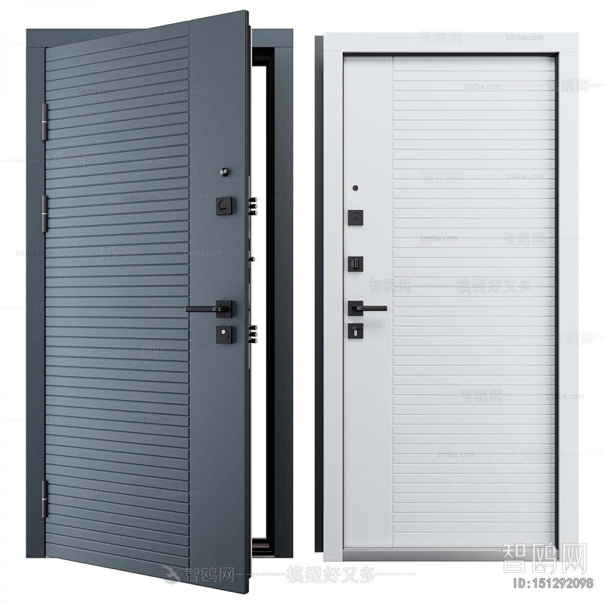 Modern Entrance Door