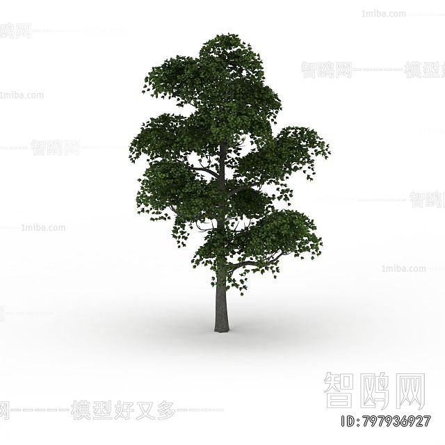 Modern Tree
