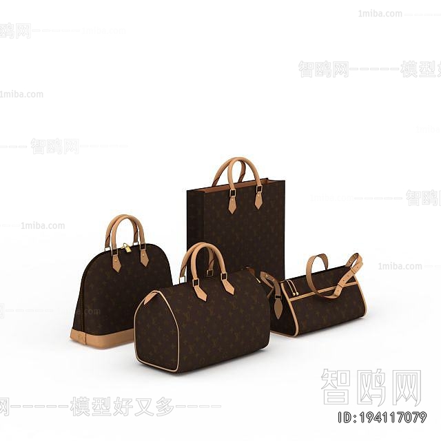 Modern Lady's Bag