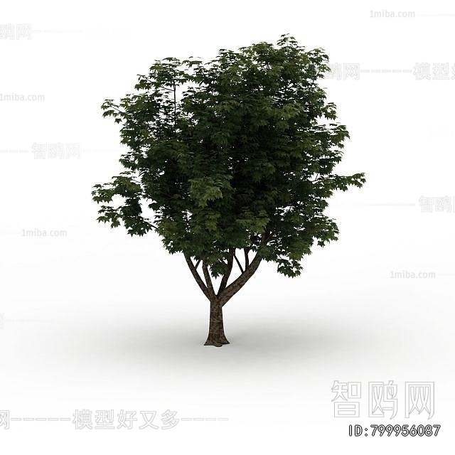 Modern Tree