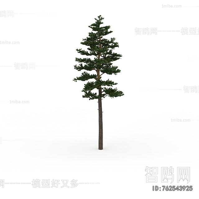 Modern Tree