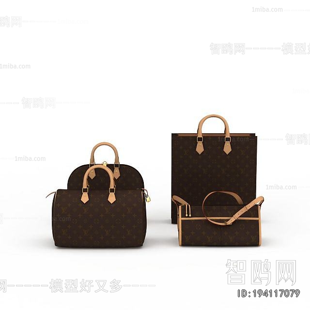 Modern Lady's Bag