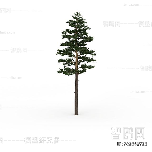 Modern Tree