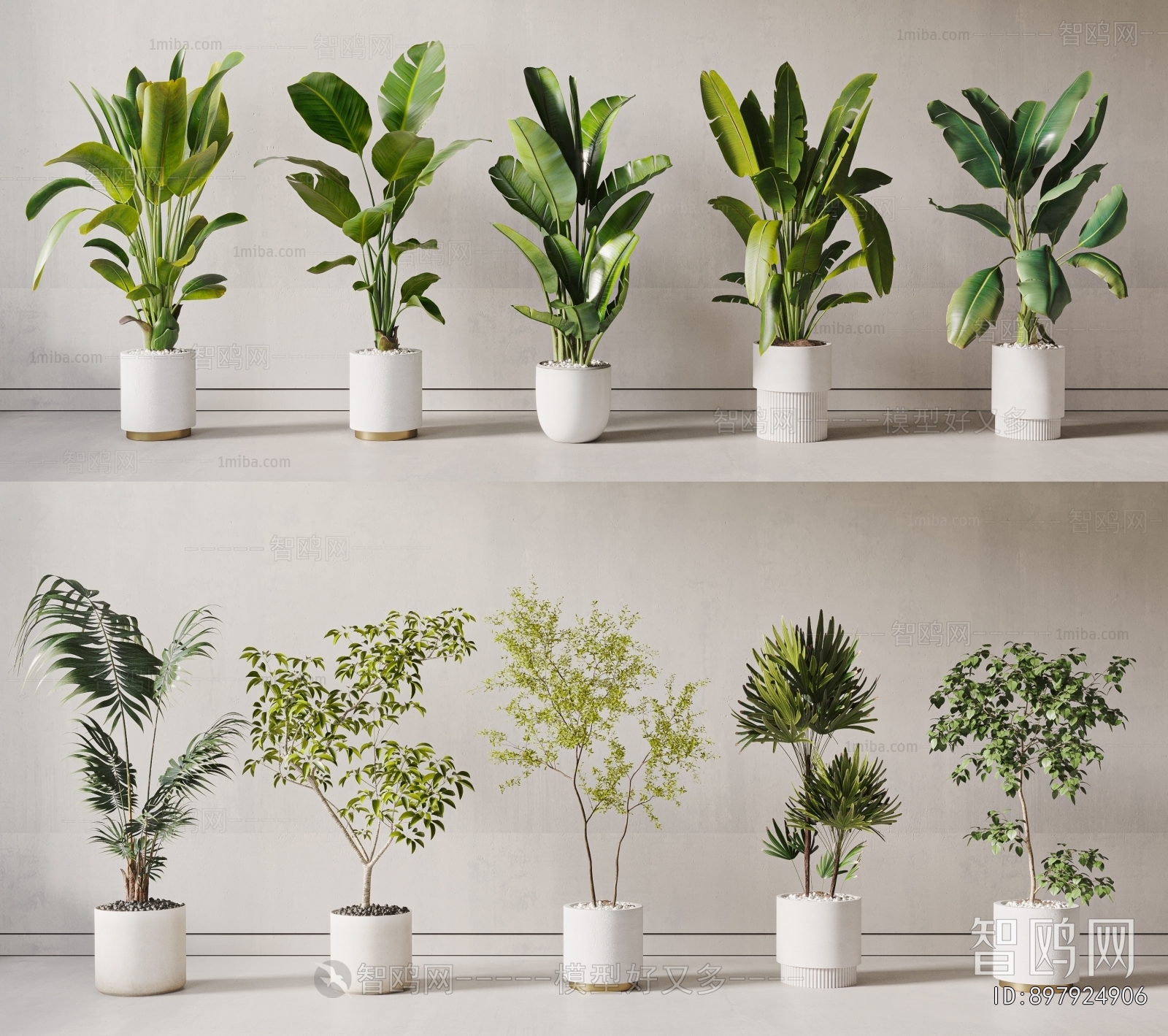 Modern Ground Green Plant Potted Plants