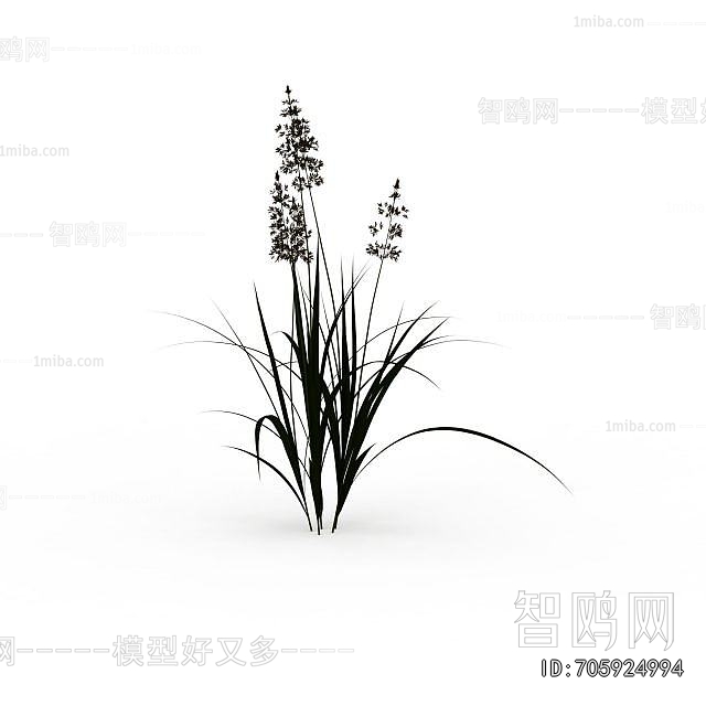 Modern Flowers And Grass