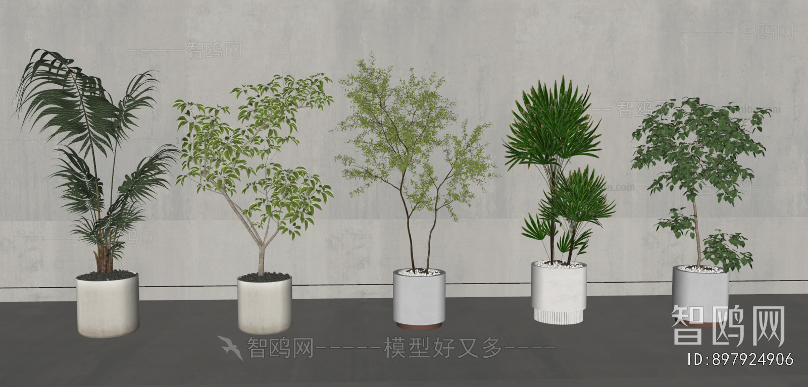 Modern Ground Green Plant Potted Plants