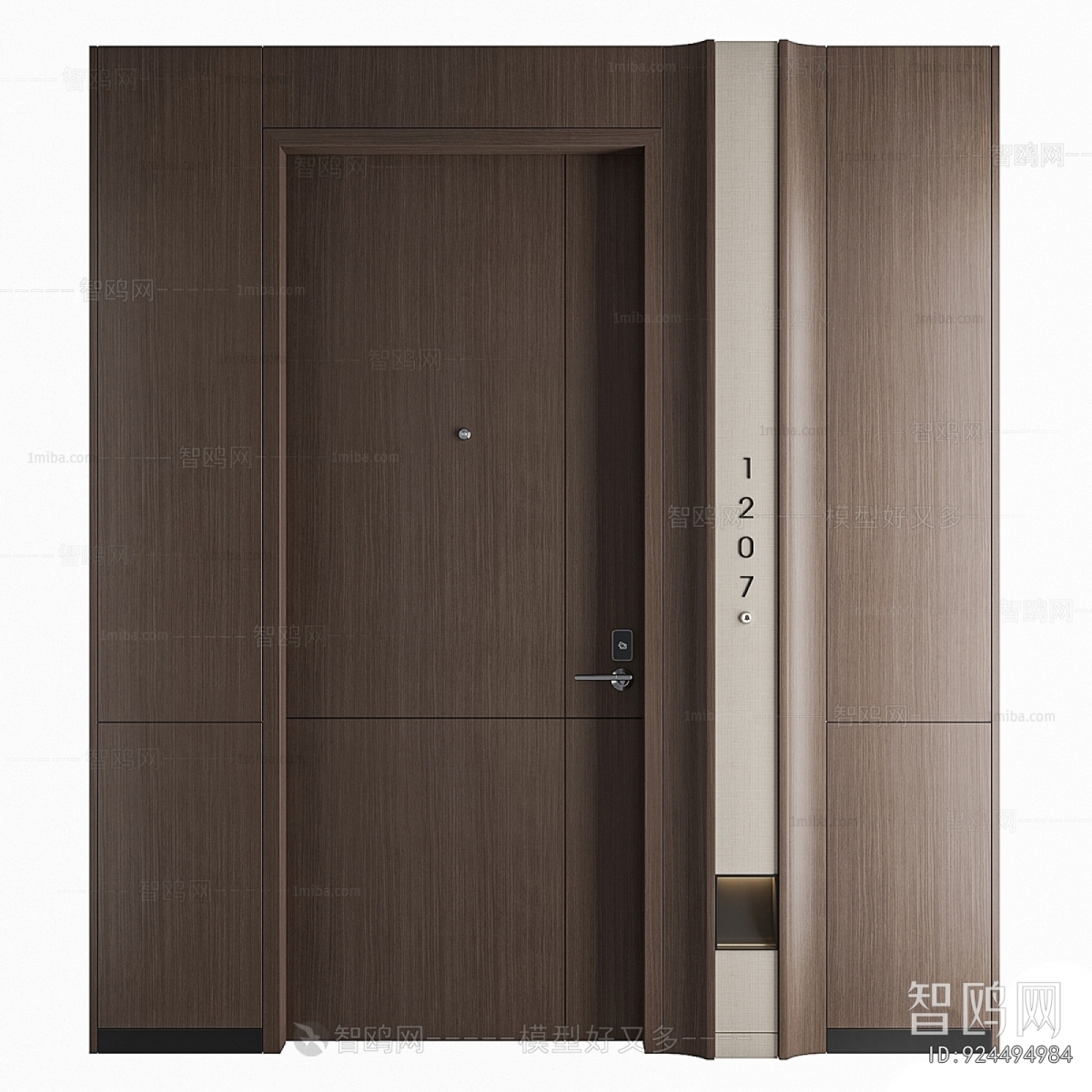 Modern Door