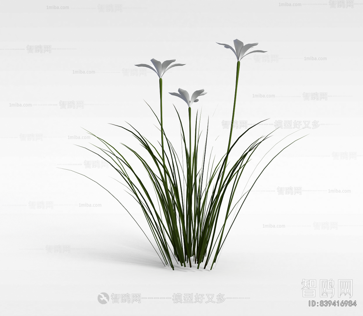 Modern Flowers And Grass