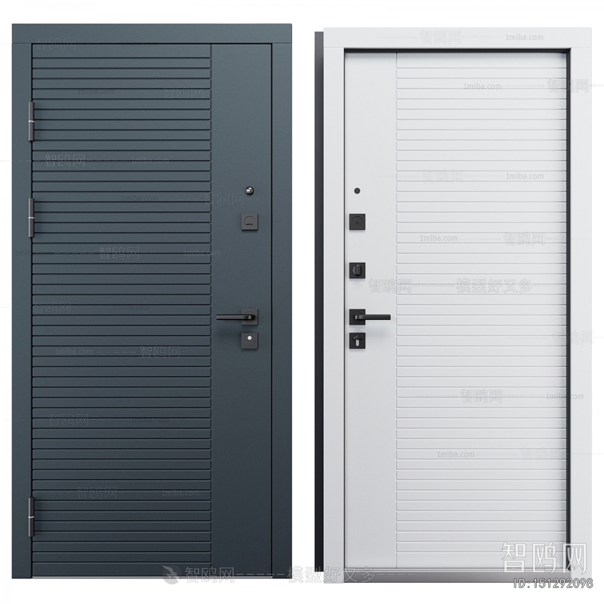 Modern Entrance Door