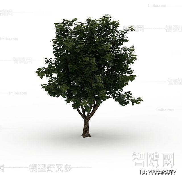 Modern Tree