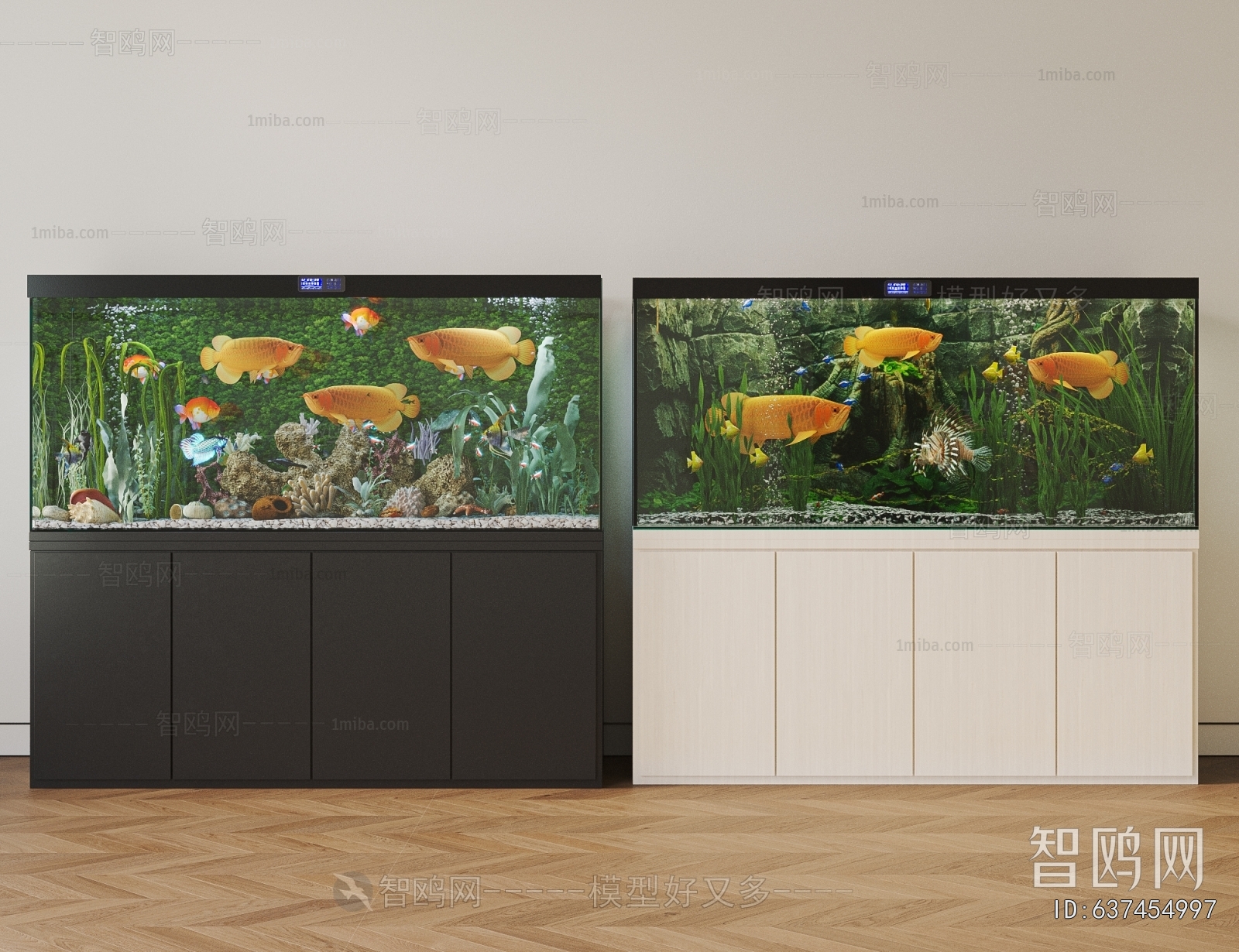 Modern Fish Tank