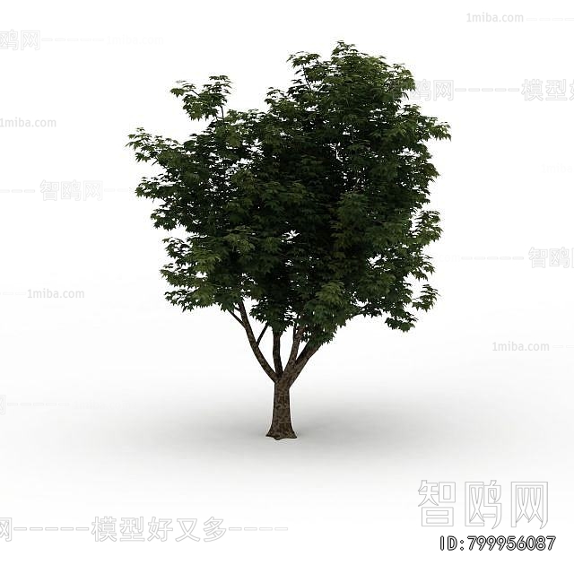 Modern Tree