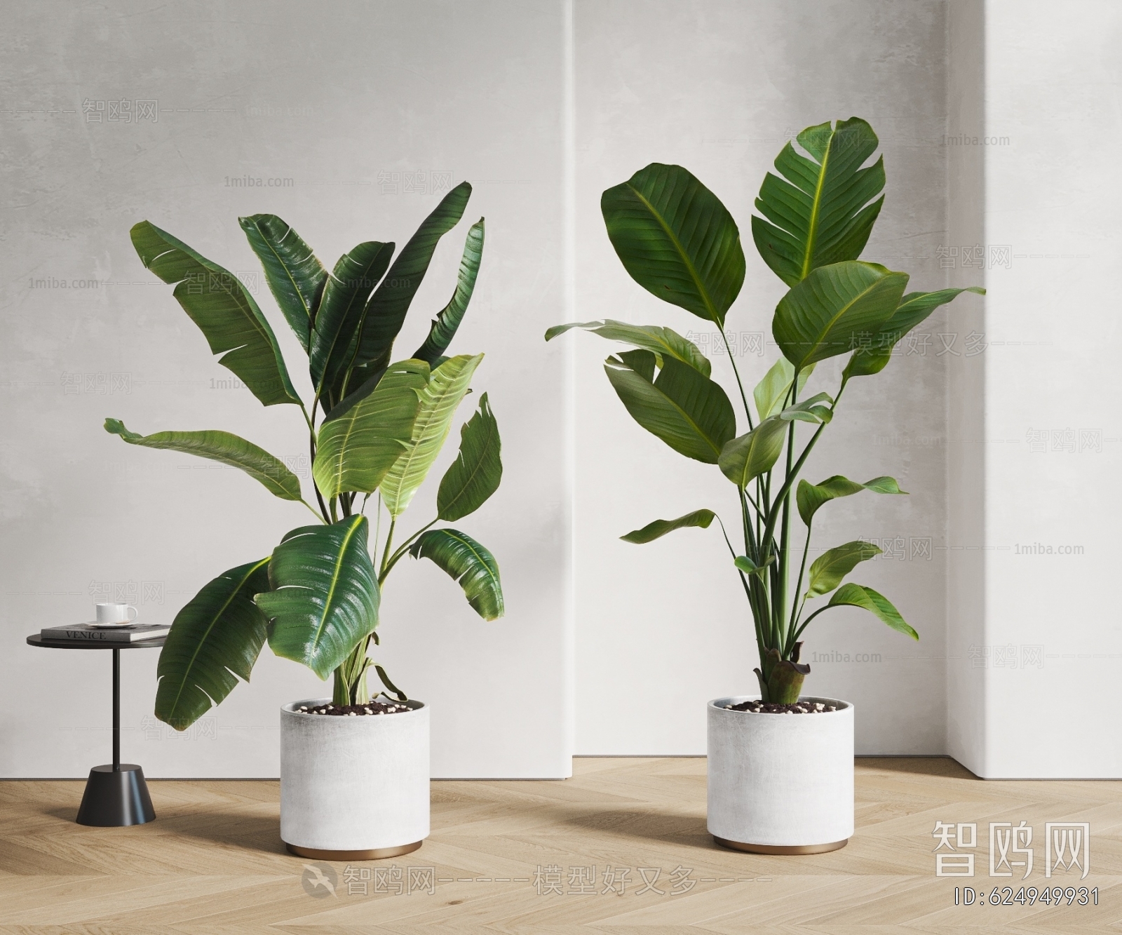 Modern Ground Green Plant Potted Plants