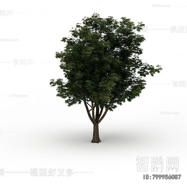 Modern Tree