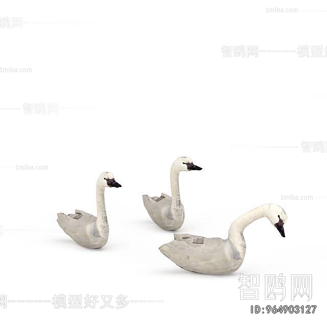 Modern Poultry Animal