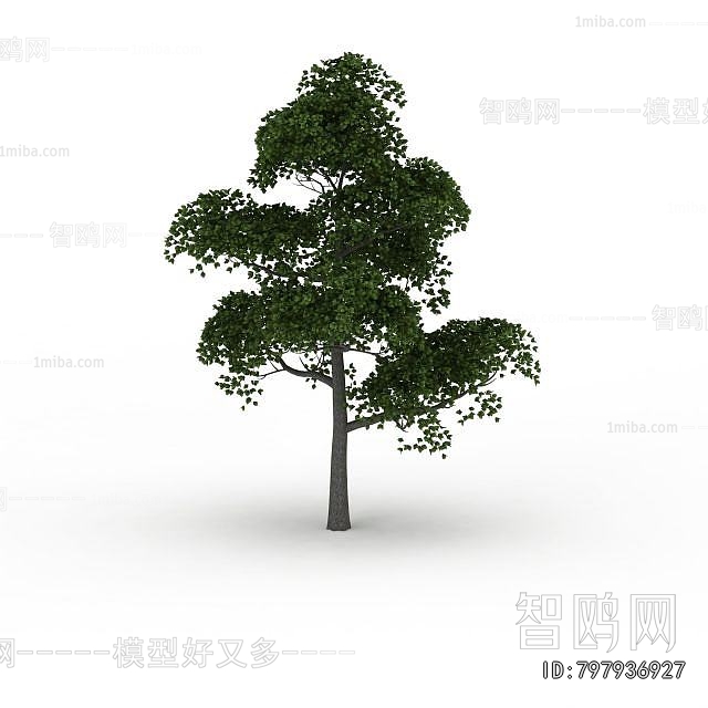 Modern Tree