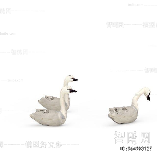 Modern Poultry Animal