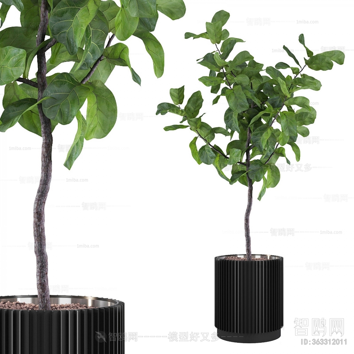Modern Ground Green Plant Potted Plants