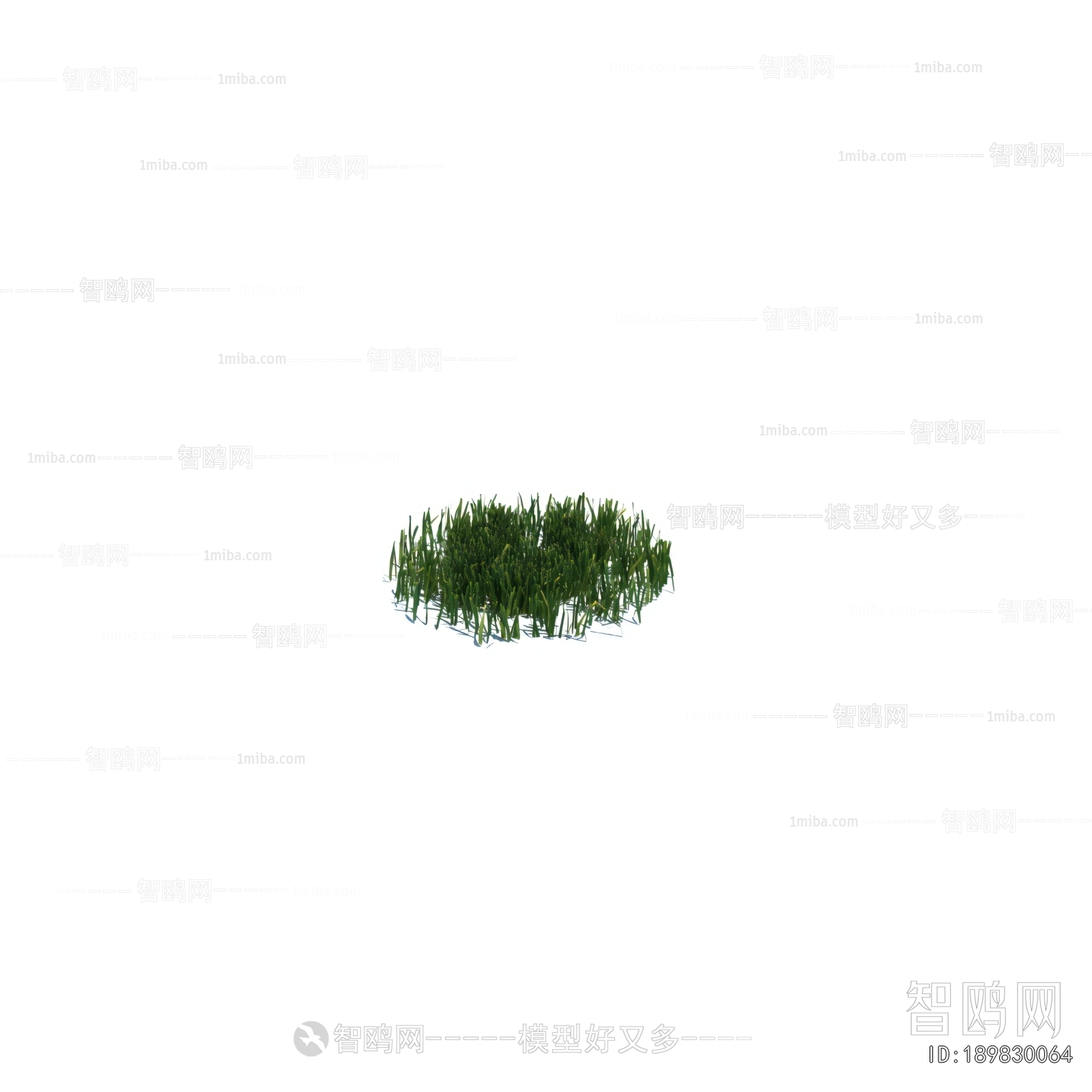 Modern The Grass