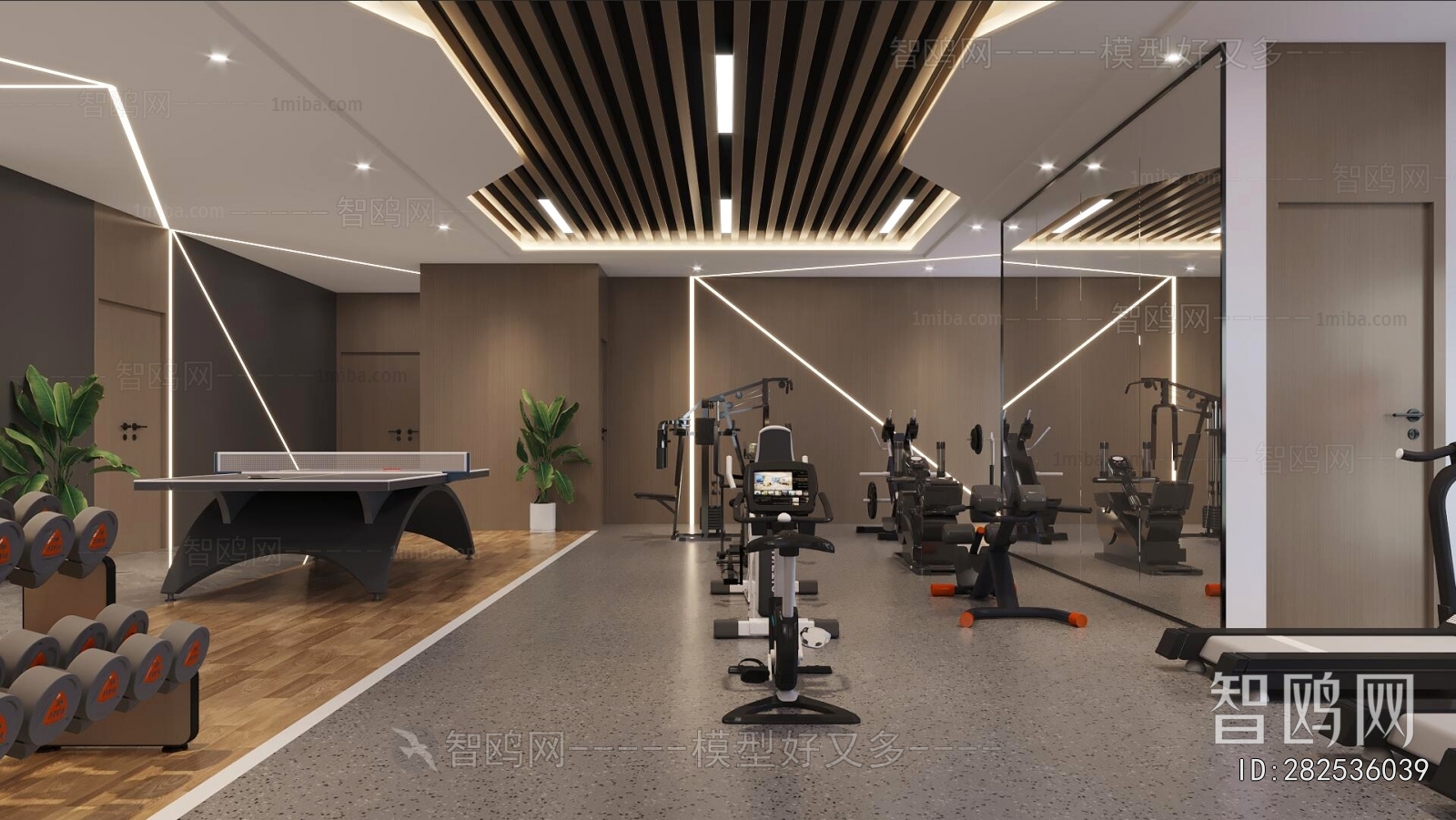 Modern Gym