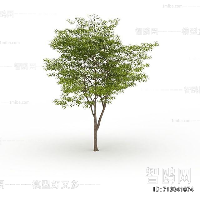 Modern Tree