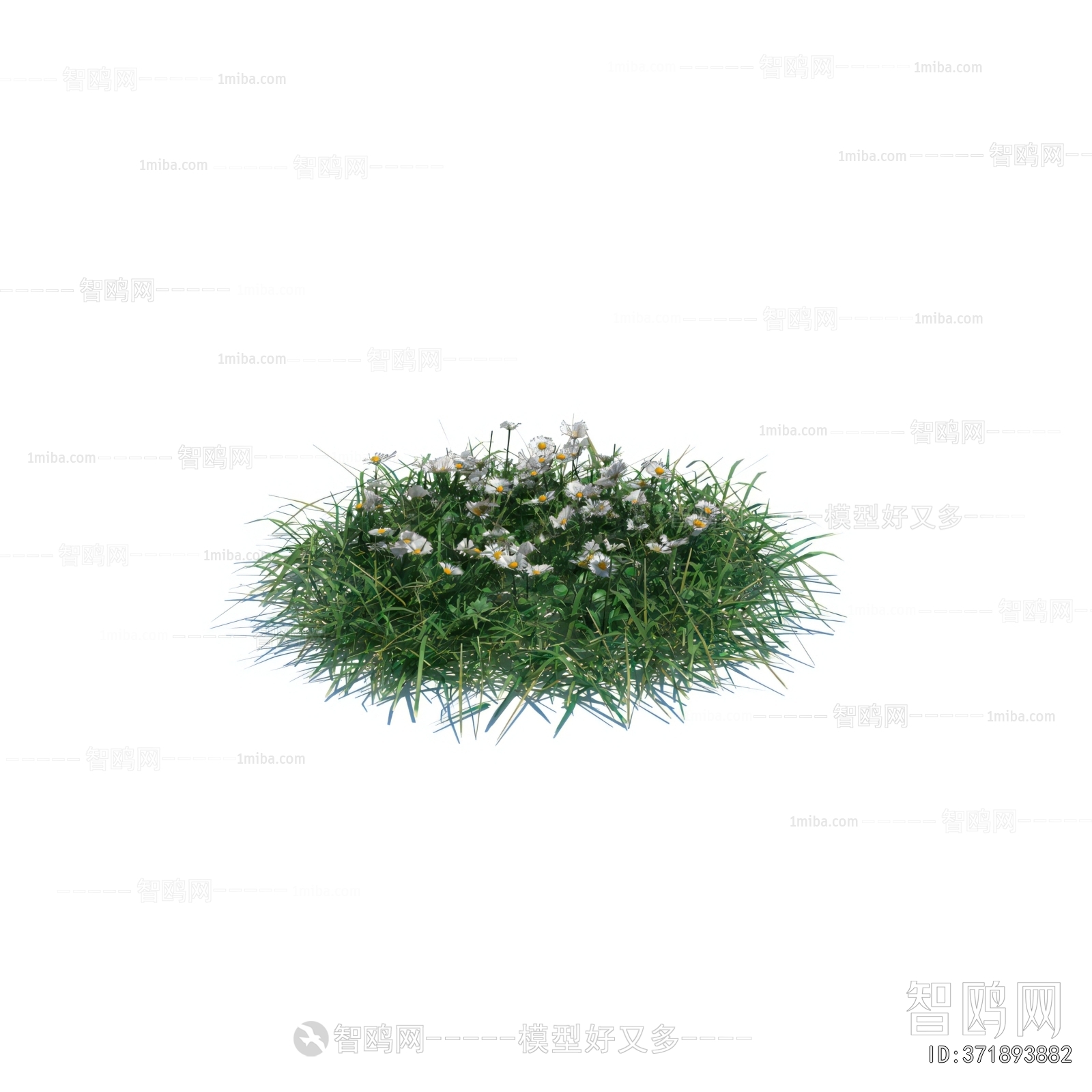 Modern Flowers And Grass