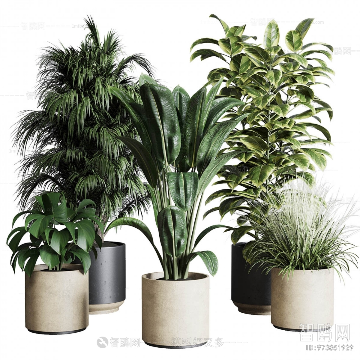Modern Ground Green Plant Potted Plants