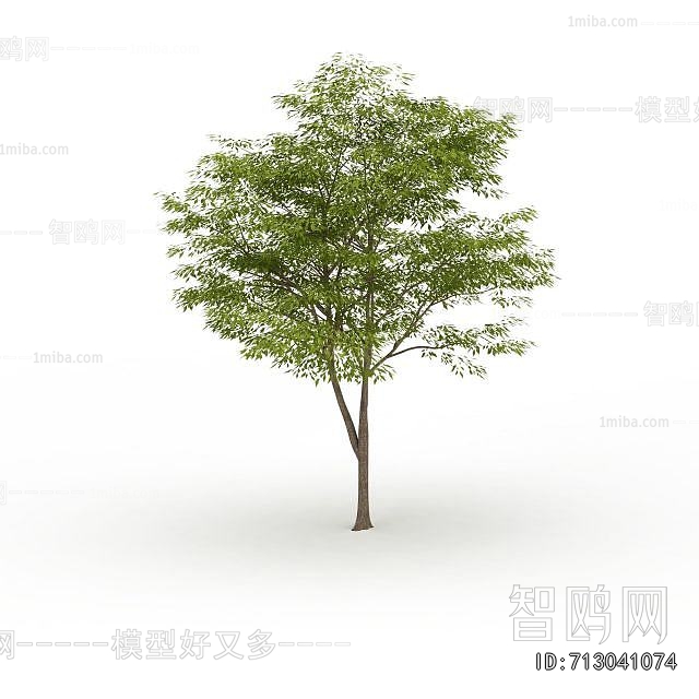 Modern Tree
