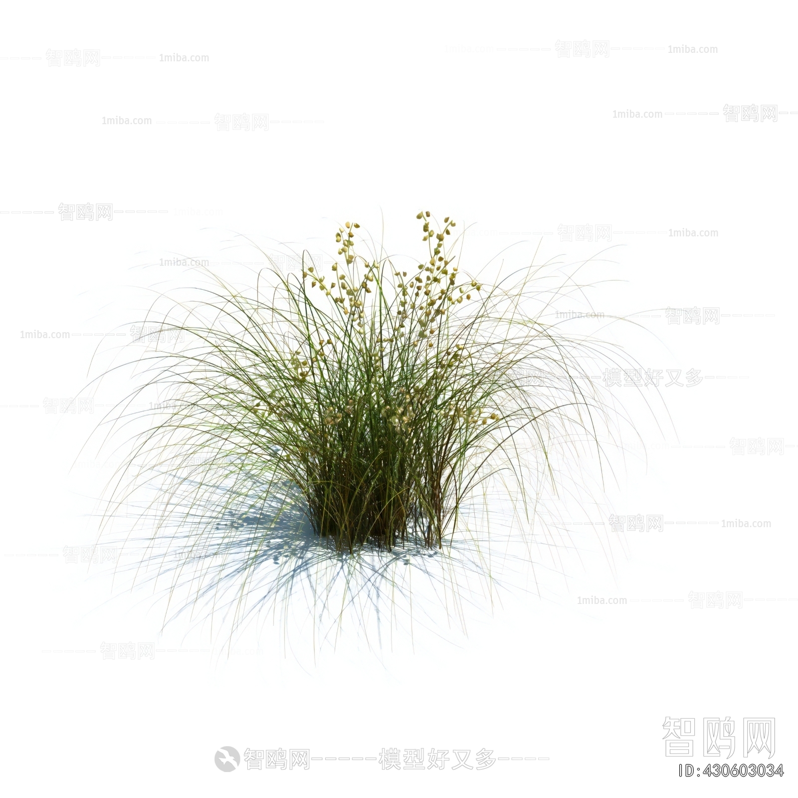 Modern The Grass