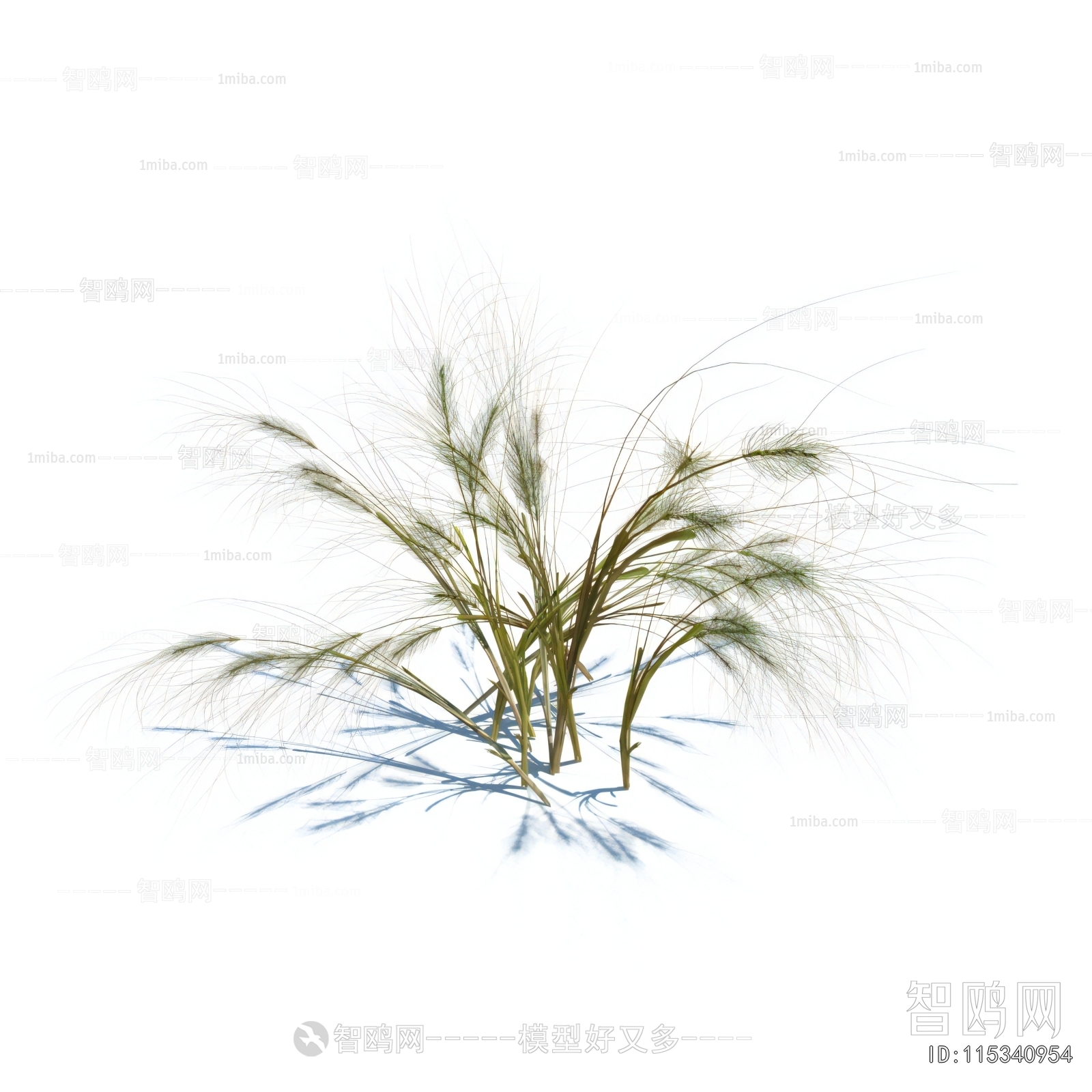 Modern The Grass